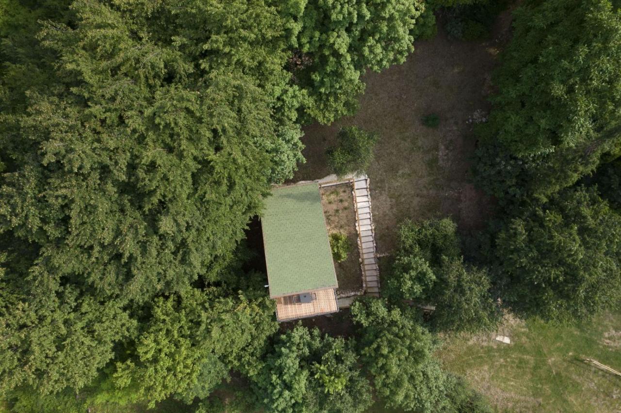 Tree House San Giorgio Pensión Solagna